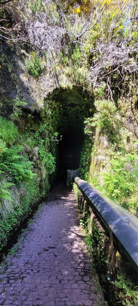 Levada Vinte e Cinco Fontes — Portal sul do Furado Novo — foto 2