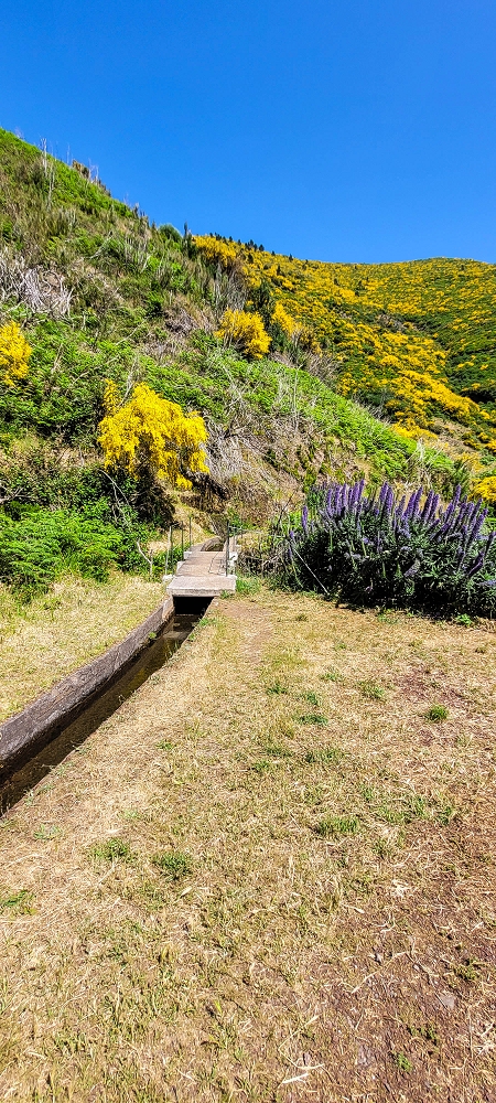Levada Vinte e Cinco Fontes — Até à Camara de Carga da Levada Vinte e Cinco Fontes — foto 1