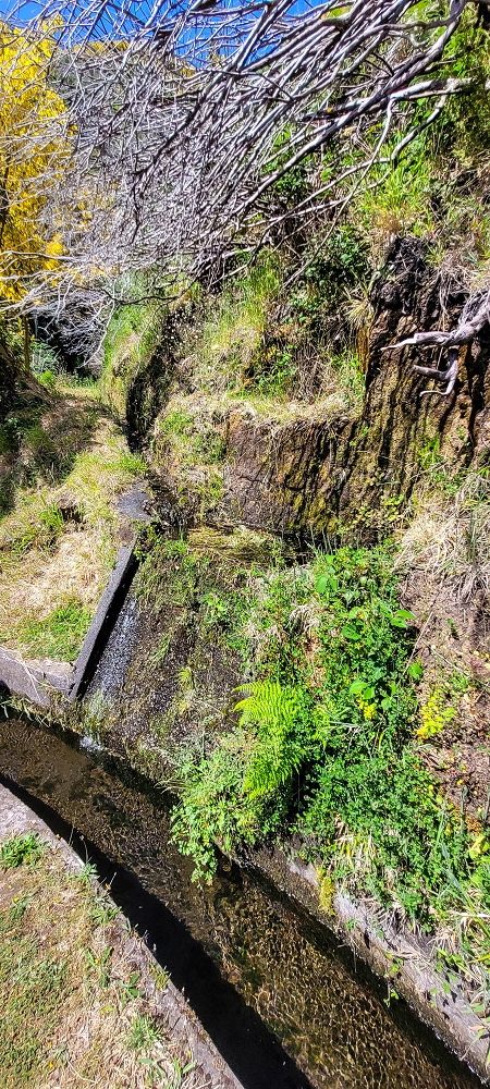 12.06.2022 Calheta Hydro Power - früher und heute — Auf der Levada Vinte e Cinco Fontes — Foto 2