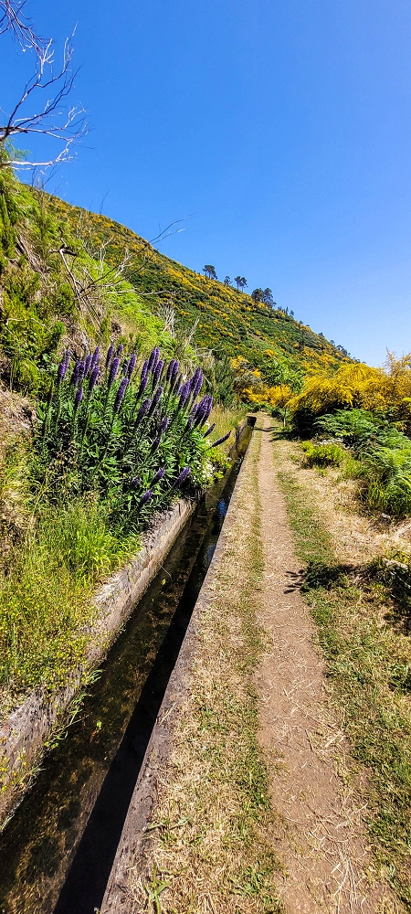 12.06.2022 Calheta Hydro Power - früher und heute — Auf der Levada Vinte e Cinco Fontes — Foto 3