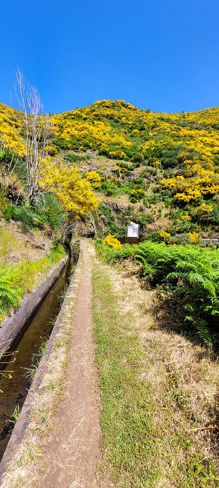 12.06.2022 Calheta Hydro Power - früher und heute — Auf der Levada Vinte e Cinco Fontes — Foto 5