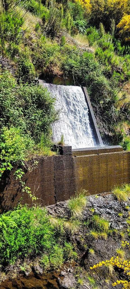 12.06.2022 Calheta Hydro Power - früher und heute — Auf der Levada Vinte e Cinco Fontes — Foto 7