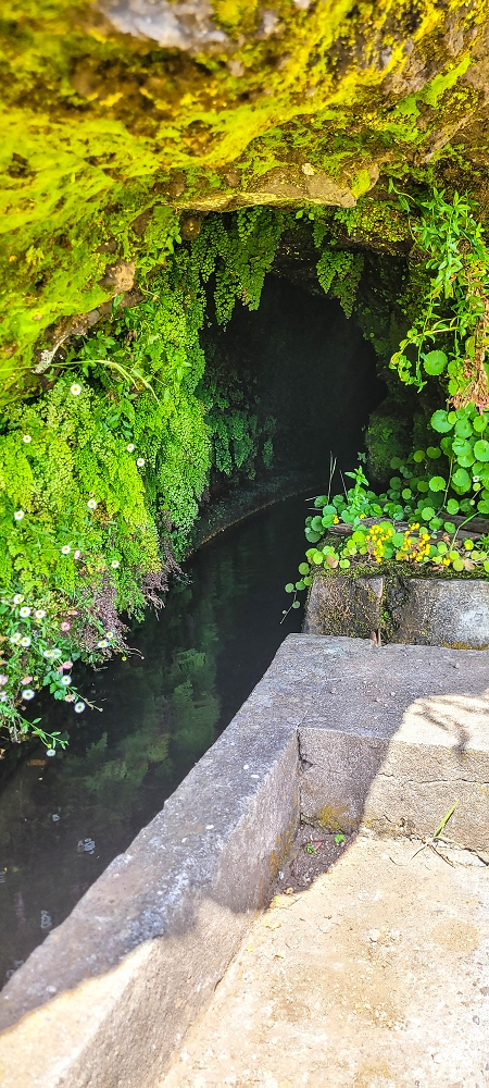 12.06.2022 Calheta Hydro Power - früher und heute — Auf der Levada Vinte e Cinco Fontes — Foto 8