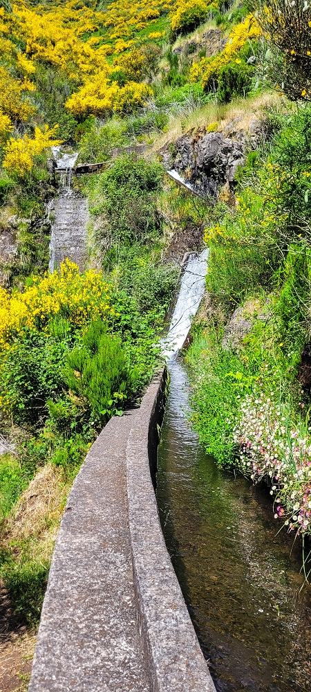 12.06.2022 Calheta Hydro Power - früher und heute — Auf der Levada Vinte e Cinco Fontes — Foto 10
