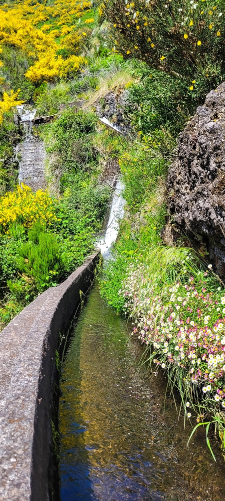 Levada Vinte e Cinco Fontes — Até à Camara de Carga da Levada Vinte e Cinco Fontes — foto 3