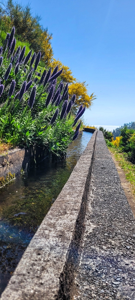 12.06.2022 Calheta Hydro Power - früher und heute — Auf der Levada Vinte e Cinco Fontes — Foto 13