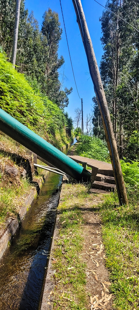 Levada Vinte e Cinco Fontes — Até à Camara de Carga da Levada Vinte e Cinco Fontes — foto 4