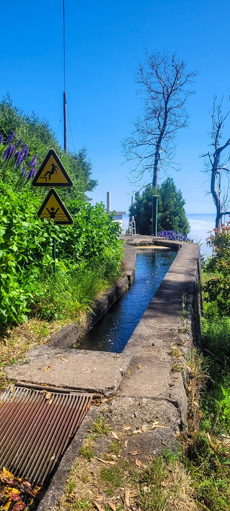 Levada Vinte e Cinco Fontes — Até à Camara de Carga da Levada Vinte e Cinco Fontes — foto 6