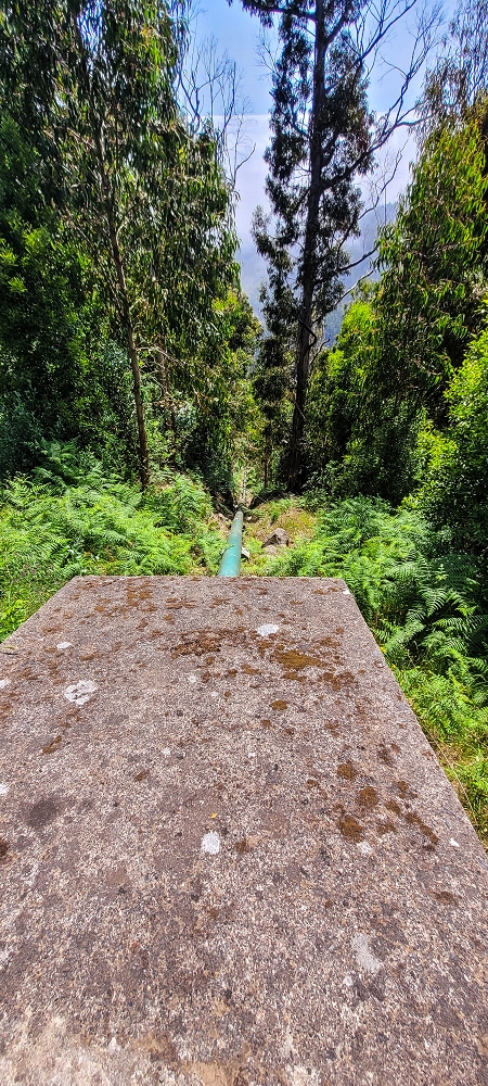 12.06.2022 Calheta Hydro Power - früher und heute — Auf der Levada Vinte e Cinco Fontes — Foto 19