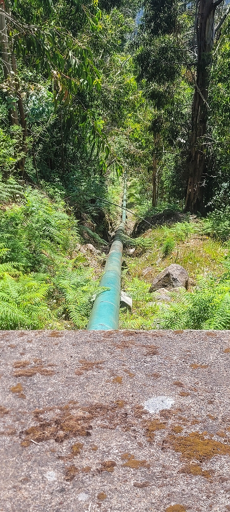 Levada Vinte e Cinco Fontes — Até à Camara de Carga da Levada Vinte e Cinco Fontes — foto 7