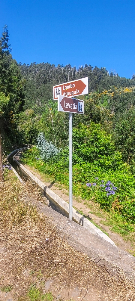 Levada Nova — As far as Lombo Atougaia — photo 3