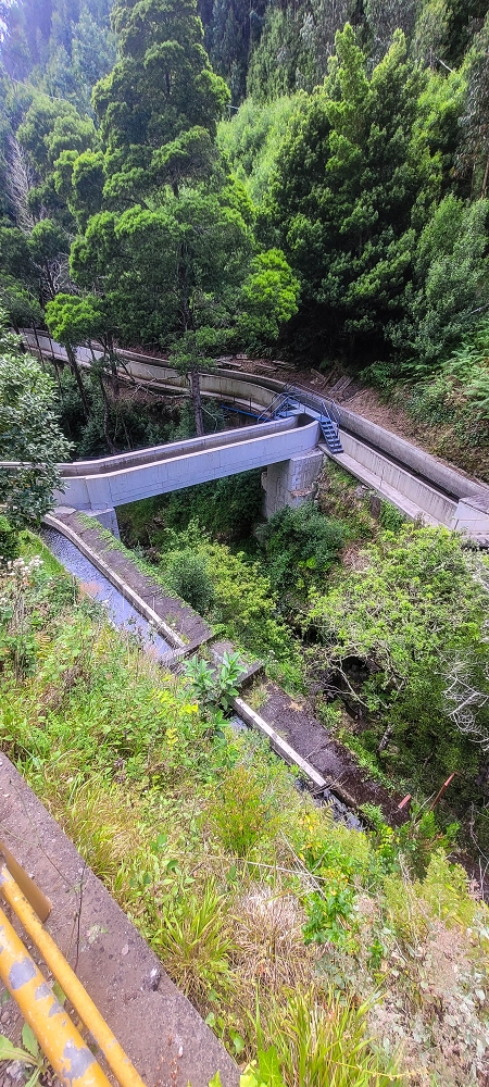 Levada Nova — Madre area from 2022 — photo 3