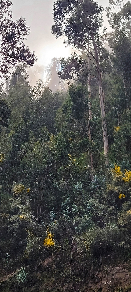 12.06.2022 Calheta Hydro Power - früher und heute — Aussicht auf Kraftwerk und Becken — Foto 8