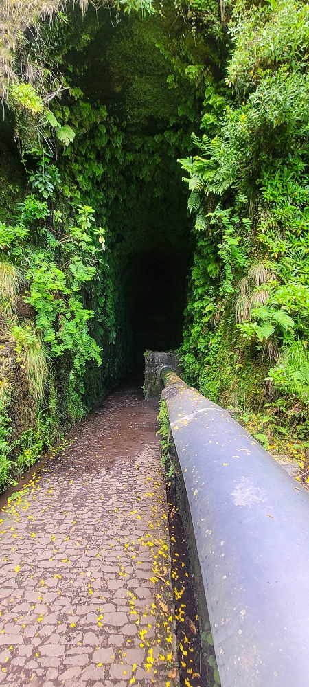 12 June 2024 Over Pico Fernandes and the Vereda do Pau Seco to the 25 Fontes — The drinking-water pipe, and the course on the levada service path and in the Reitertunnel — photo 13