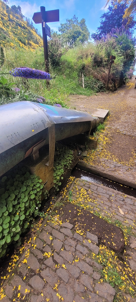 12 June 2024 Over Pico Fernandes and the Vereda do Pau Seco to the 25 Fontes — The drinking-water pipe, and the course on the levada service path and in the Reitertunnel — photo 14
