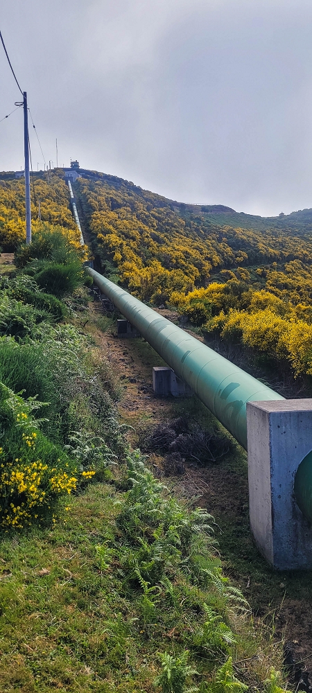 12 June 2024 Over Pico Fernandes and the Vereda do Pau Seco to the 25 Fontes — The gorse path to the pressure pipes, as far as the old reservoir — photo 6