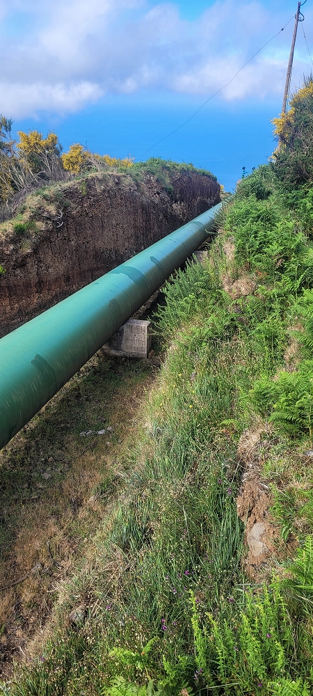12 June 2024 Over Pico Fernandes and the Vereda do Pau Seco to the 25 Fontes — The gorse path to the pressure pipes, as far as the old reservoir — photo 7