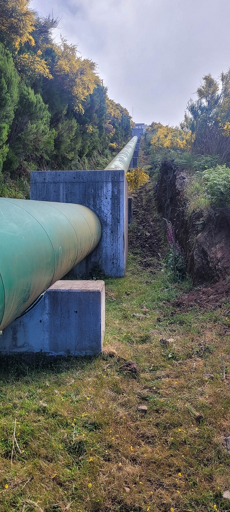 12 June 2024 Over Pico Fernandes and the Vereda do Pau Seco to the 25 Fontes — The gorse path to the pressure pipes, as far as the old reservoir — photo 8