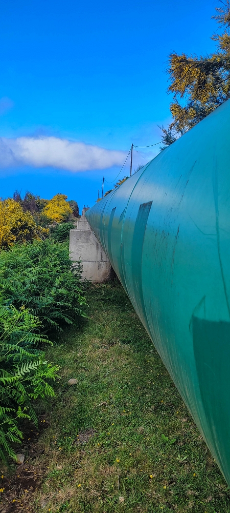 12 June 2024 Over Pico Fernandes and the Vereda do Pau Seco to the 25 Fontes — The gorse path to the pressure pipes, as far as the old reservoir — photo 9
