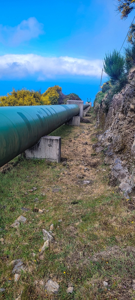 12 June 2024 Over Pico Fernandes and the Vereda do Pau Seco to the 25 Fontes — The gorse path to the pressure pipes, as far as the old reservoir — photo 10
