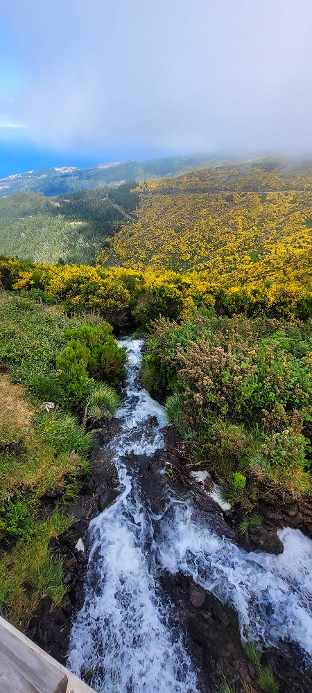 12 June 2024 Over Pico Fernandes and the Vereda do Pau Seco to the 25 Fontes — Something new and something familiar at the old reservoir — photo 8