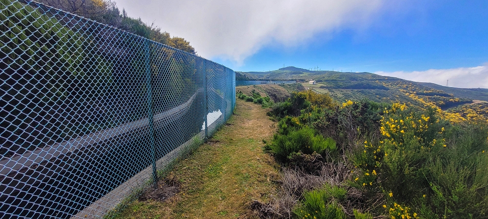 12 June 2024 Over Pico Fernandes and the Vereda do Pau Seco to the 25 Fontes — Something new and something familiar at the old reservoir — photo 12