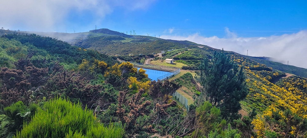 12 June 2024 Over Pico Fernandes and the Vereda do Pau Seco to the 25 Fontes — Something new and something familiar at the old reservoir — photo 14