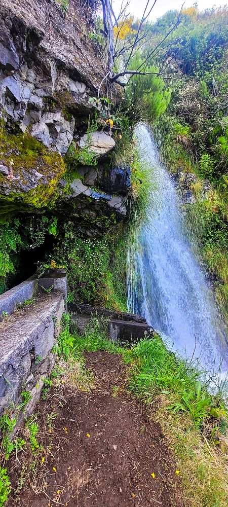 12 June 2024 Over Pico Fernandes and the Vereda do Pau Seco to the 25 Fontes — As far as the gorse path — photo 5