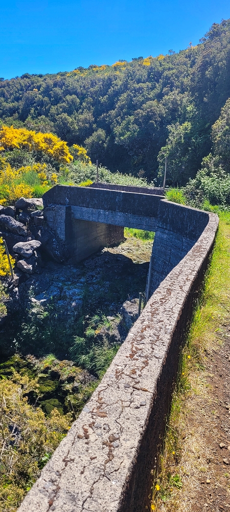 12 June 2024 Over Pico Fernandes and the Vereda do Pau Seco to the 25 Fontes — To Pico Fernandes — photo 9