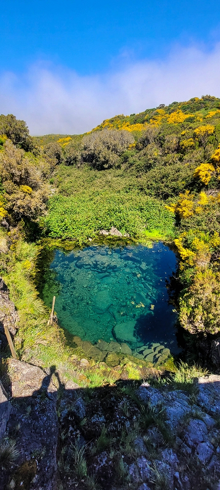 12 June 2024 Over Pico Fernandes and the Vereda do Pau Seco to the 25 Fontes — To Pico Fernandes — photo 10