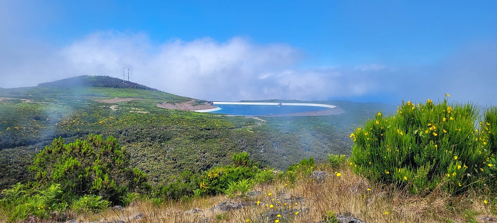 12 June 2024 Over Pico Fernandes and the Vereda do Pau Seco to the 25 Fontes — To Pico Fernandes — photo 13