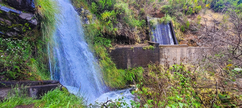 12 June 2024 Over Pico Fernandes and the Vereda do Pau Seco to the 25 Fontes — As far as the gorse path — photo 6
