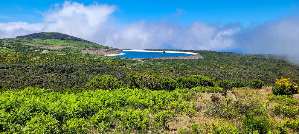 12 June 2024 Over Pico Fernandes and the Vereda do Pau Seco to the 25 Fontes — To Pico Fernandes — photo 17