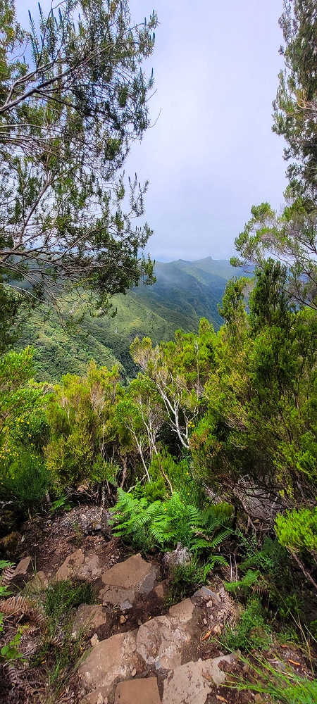12 June 2024 Over Pico Fernandes and the Vereda do Pau Seco to the 25 Fontes — The Vereda do Pau Seco — photo 8