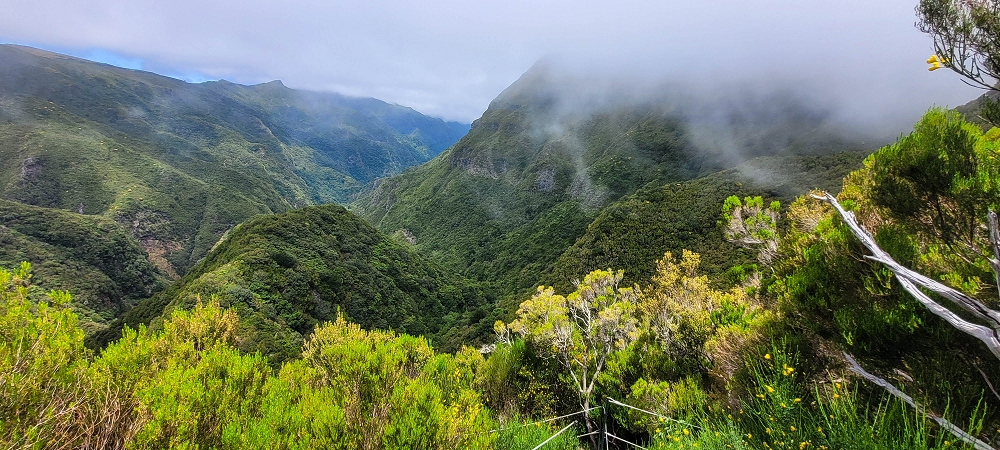12 June 2024 Over Pico Fernandes and the Vereda do Pau Seco to the 25 Fontes — The Vereda do Pau Seco — photo 10