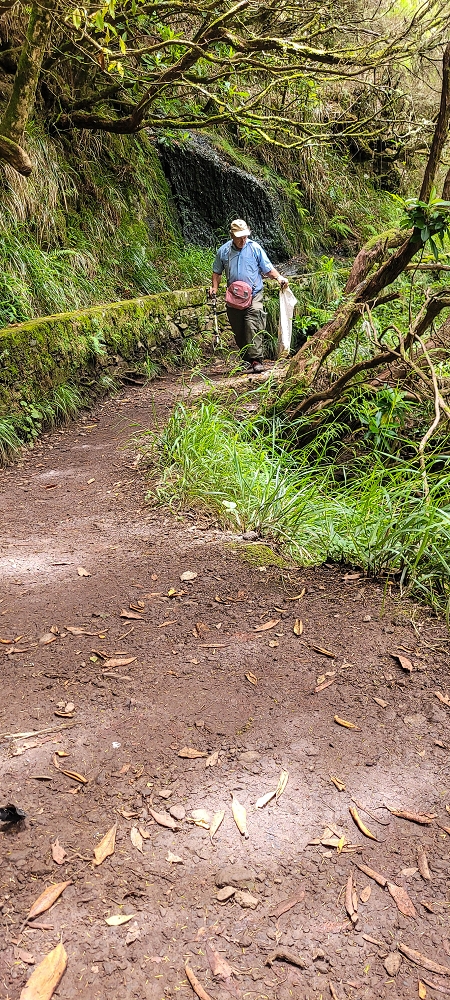 12 June 2024 Over Pico Fernandes and the Vereda do Pau Seco to the 25 Fontes — A little aside, new works.... — photo 1