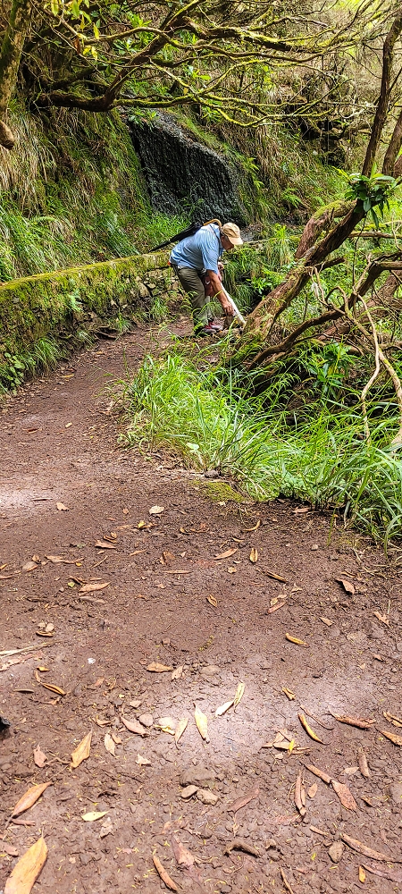 12 June 2024 Over Pico Fernandes and the Vereda do Pau Seco to the 25 Fontes — A little aside, new works.... — photo 2