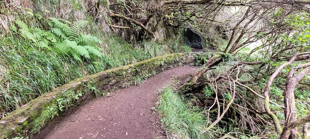 12 June 2024 Over Pico Fernandes and the Vereda do Pau Seco to the 25 Fontes — A little aside, new works.... — photo 5