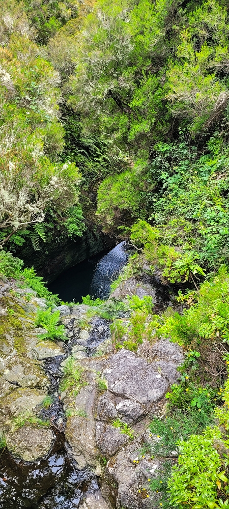 12 June 2024 Over Pico Fernandes and the Vereda do Pau Seco to the 25 Fontes — On the 25 Fontes levada — photo 1