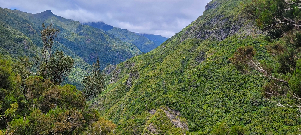 12 June 2024 Over Pico Fernandes and the Vereda do Pau Seco to the 25 Fontes — On the 25 Fontes levada — photo 3