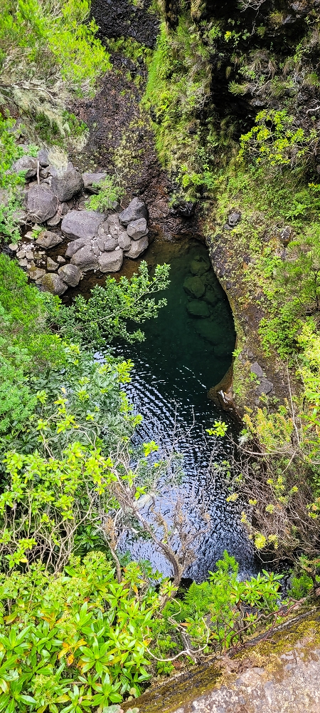 12 June 2024 Over Pico Fernandes and the Vereda do Pau Seco to the 25 Fontes — On the 25 Fontes levada — photo 6