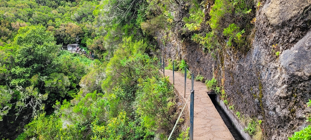 12 June 2024 Over Pico Fernandes and the Vereda do Pau Seco to the 25 Fontes — On the 25 Fontes levada — photo 7