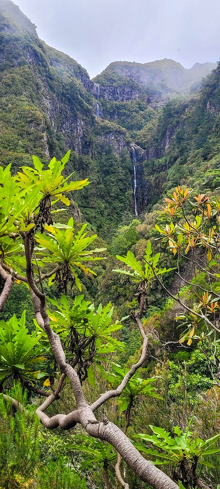 12 June 2024 Over Pico Fernandes and the Vereda do Pau Seco to the 25 Fontes — The drinking-water pipe, and the course on the levada service path and in the Reitertunnel — photo 4