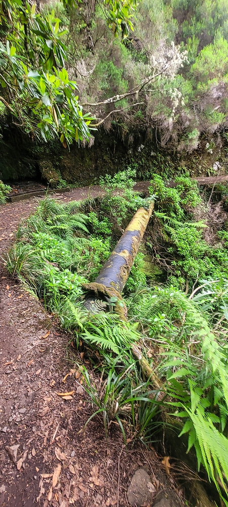 12 June 2024 Over Pico Fernandes and the Vereda do Pau Seco to the 25 Fontes — The drinking-water pipe, and the course on the levada service path and in the Reitertunnel — photo 6