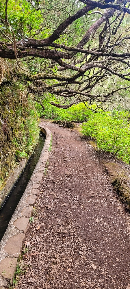 12 June 2024 Over Pico Fernandes and the Vereda do Pau Seco to the 25 Fontes — The drinking-water pipe, and the course on the levada service path and in the Reitertunnel — photo 7