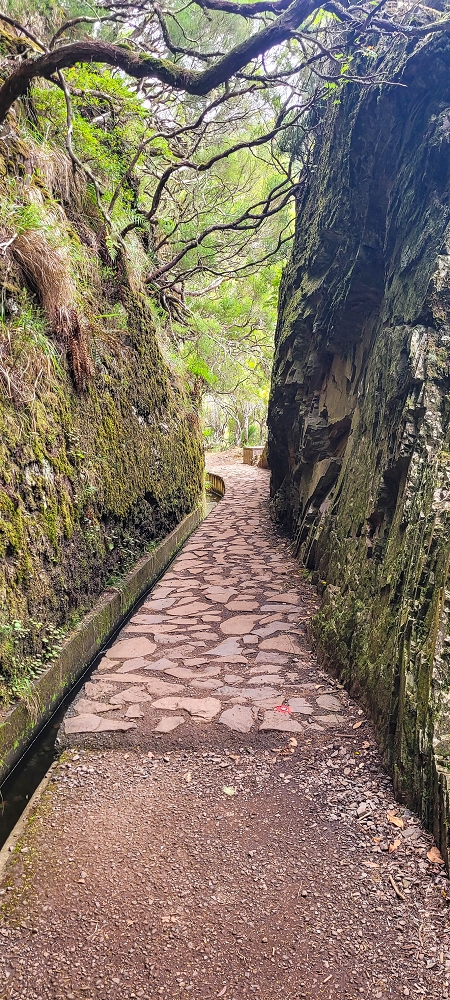 12 June 2024 Over Pico Fernandes and the Vereda do Pau Seco to the 25 Fontes — The drinking-water pipe, and the course on the levada service path and in the Reitertunnel — photo 8