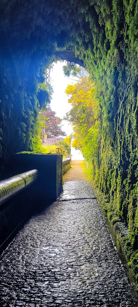 12 June 2024 Over Pico Fernandes and the Vereda do Pau Seco to the 25 Fontes — The drinking-water pipe, and the course on the levada service path and in the Reitertunnel — photo 12