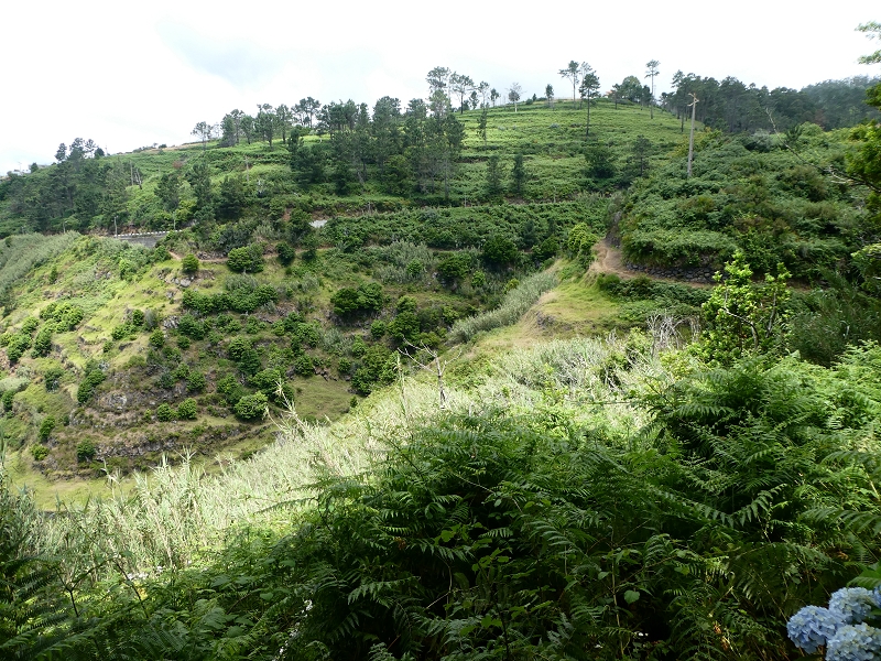 12.07.2018 Von Jardim do Mar nach Prazeres, Querung nach Raposeira und Sao Lourenco, Abstieg nach Paul do Mar — Schöner Höhenweg bis zur ER 223 — Foto 18