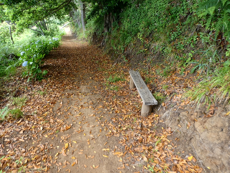 12.07.2018 Von Jardim do Mar nach Prazeres, Querung nach Raposeira und Sao Lourenco, Abstieg nach Paul do Mar — Schöner Höhenweg bis zur ER 223 — Foto 19