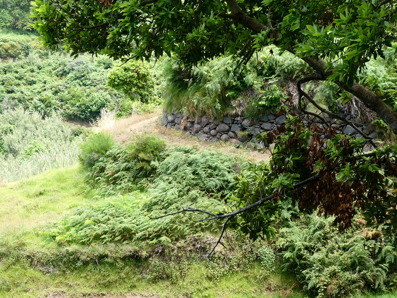 12.07.2018 Von Jardim do Mar nach Prazeres, Querung nach Raposeira und Sao Lourenco, Abstieg nach Paul do Mar — Schöner Höhenweg bis zur ER 223 — Foto 20